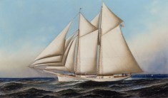 rinaldi-antoniojacobsen